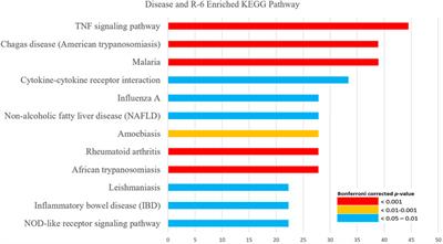 Potential Therapeutic Targets of Rehmannia Formulations on Diabetic Nephropathy: A Comparative Network Pharmacology Analysis